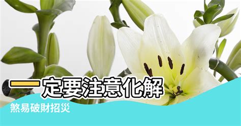 一箭穿心 風水|家中有“一箭穿心”煞易破財招災，一定要注意化解！